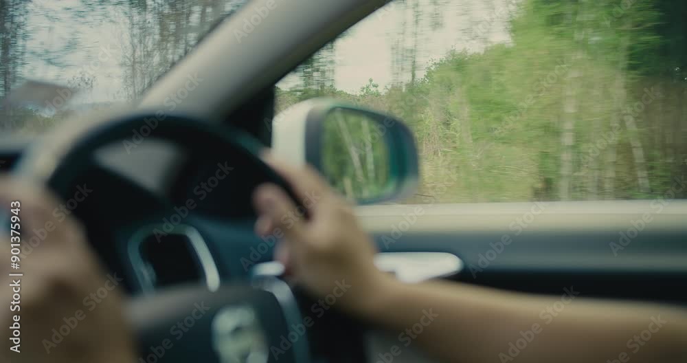 Close-up of hands gripping the steering wheel while driving through a scenic forested road Close-up of hands gripping the steering wheel while driving through a scenic forested road