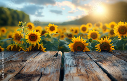 The empty wooden table top with blur background,  Sunflower field landscape photo