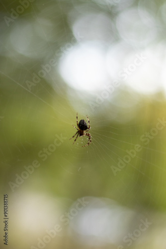 Old factory with objects abandoned inside and growing nature, power of life