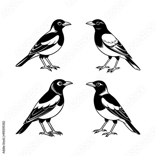Myna Bird Logo Art Illustration