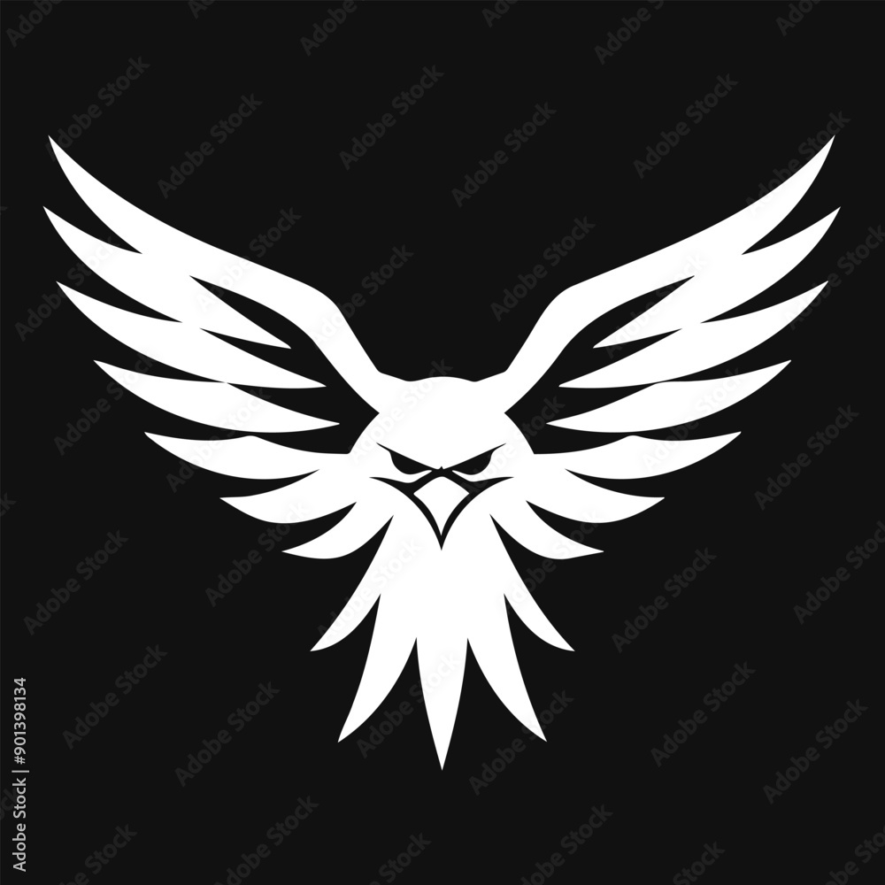 Obraz premium Abstract owl with wings spread in black and white