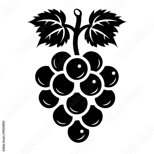 Black and white grape cluster with leaves illustration