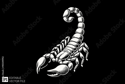 scorpion black and white vector design