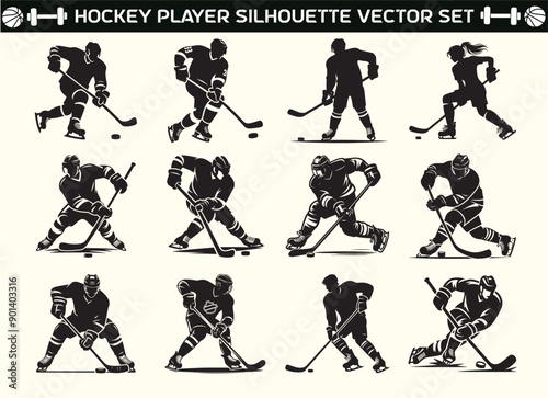 Hockey Player silhouette vector in illustration