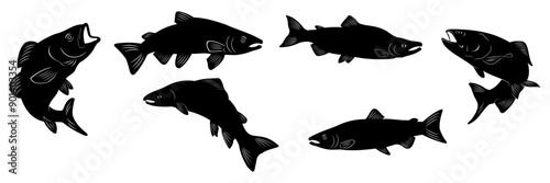 salmon silhouette vector