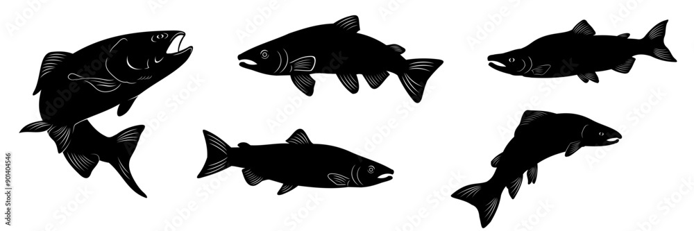 Fototapeta premium salmon silhouette vector 