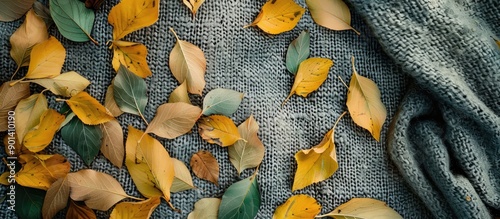 Copy space image of yellow green leaves drying on a woolen surface in a flat lay composition