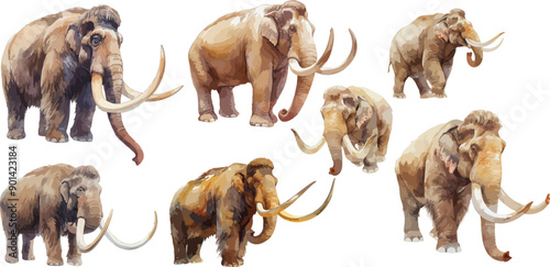 mammoth watercolor clipart