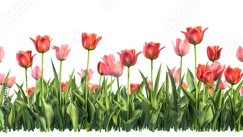 A tulip field clip art #901437501