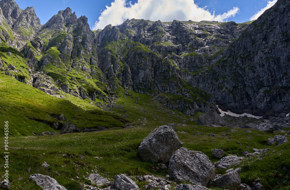 Summer in the mountains Summer in the mountains