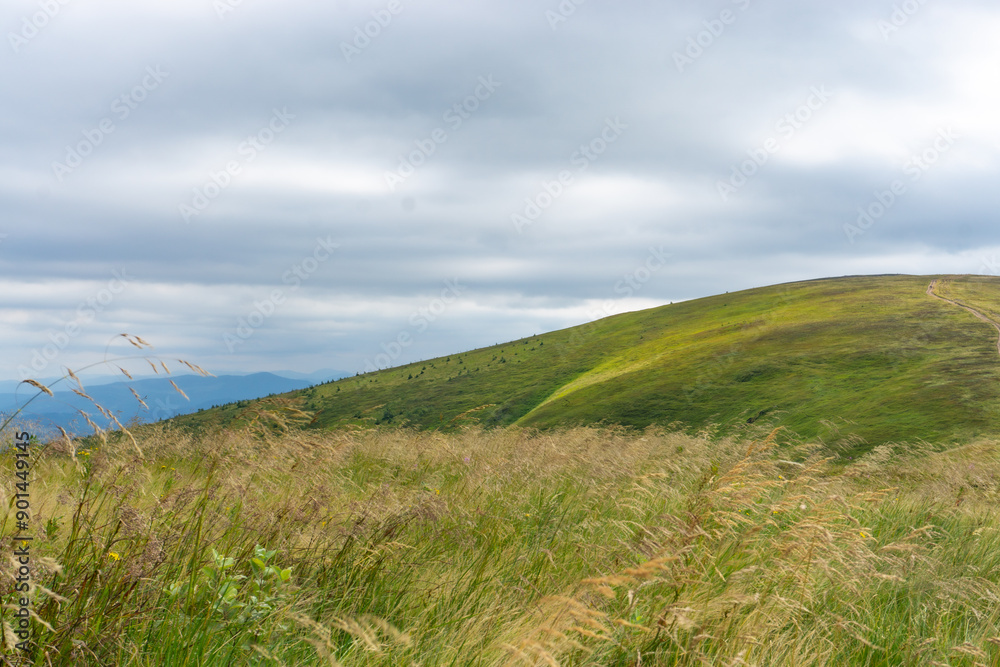Mountain landscape with grass and blue sky. Carpathian, Ukraine