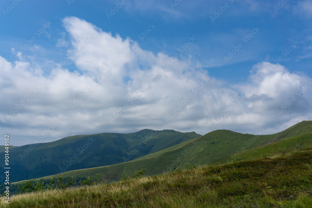 Landscape of grass on the hillside in a cloudy day. Landscape of grass on the hillside in a cloudy day.