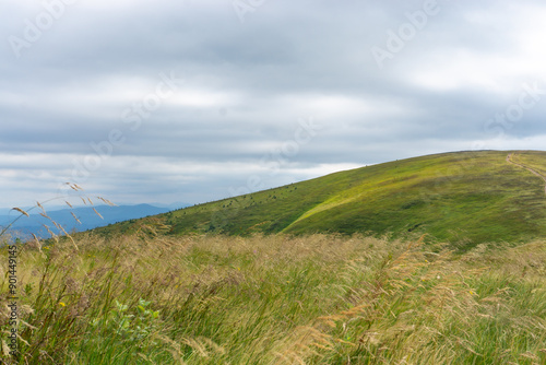 Obraz na płótnie Mountain landscape with grass and blue sky. Carpathian, Ukraine w salonie