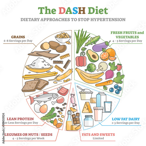 The DASH food diet as dietary approach to stop hypertension outline diagram, transparent background. Lower blood pressure.