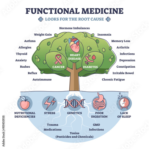 Functional medicine as disease treatment with looks for root cause outline diagram, transparent background. Tree with cancer.