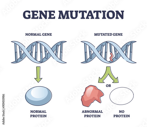 Gene mutation models comparison with abnormal helix protein outline diagram, transparent background. Labeled educational genetic DNA sequence scheme with artificial modification illustration.