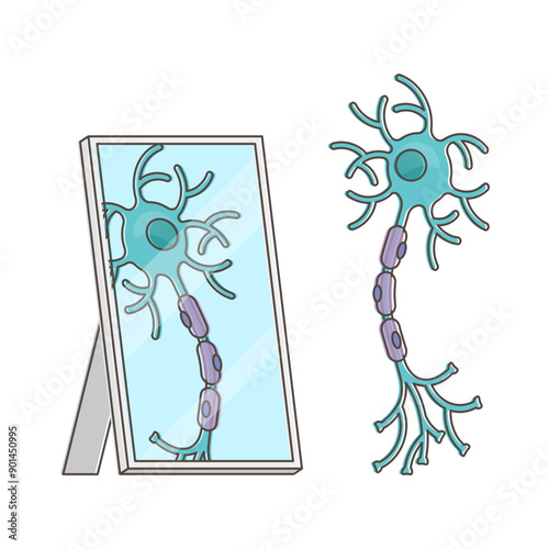 Mirror neuron funny performance with itself reflection view outline concept, transparent background. Imitative behavior and empathy explanation from neuroscience aspect.