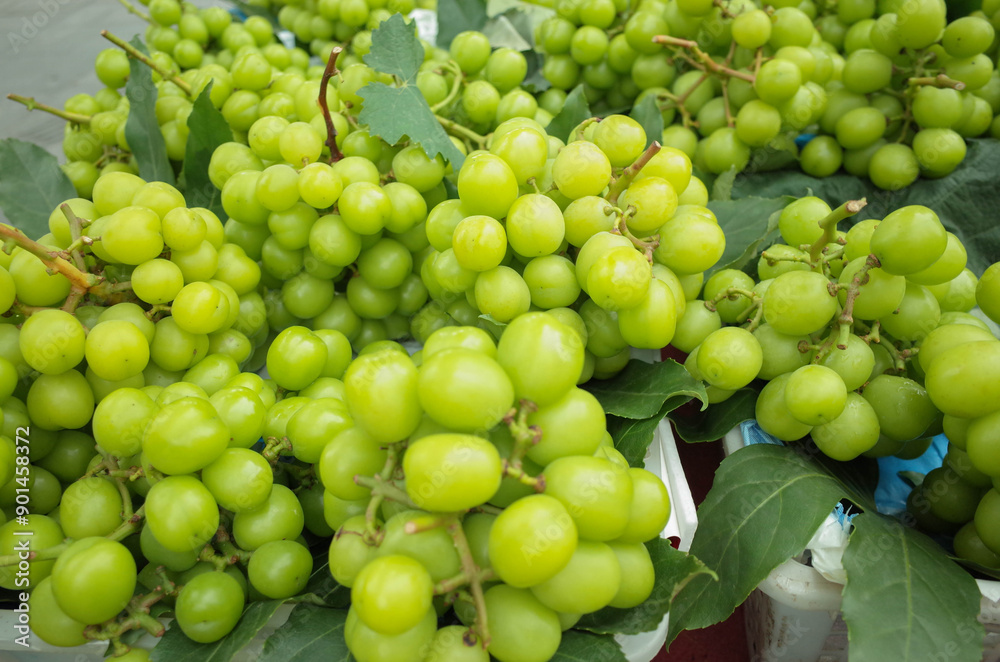 fresh ripe green grapes on street stall fresh ripe green grapes on street stall