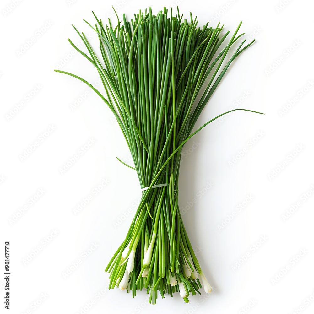 Fresh chives tied together, ready for use in cooking. The chives are on a white background. Fresh chives tied together, ready for use in cooking. The chives are on a white background.