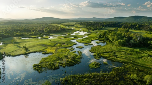 Wallpaper Mural Showcase an aerial view of wetlands with a panoramic vista of distant hills and forests, framing the expansive natural habitat. Torontodigital.ca