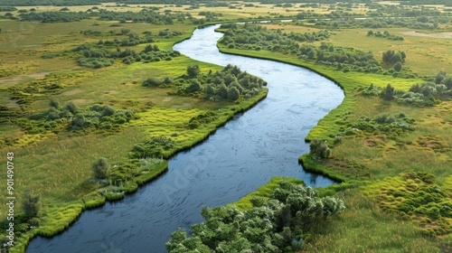 Riparian Zone: The transitional area between land and a river or stream, vital for maintaining water quality, supporting wildlife, and preventing erosion.
 photo