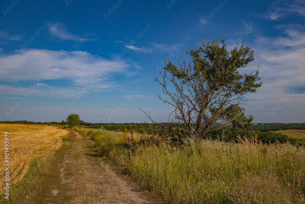 the road through endless meadows, a mowed field, harvested crops and a tree by the road the road through endless meadows, a mowed field, harvested crops and a tree by the road