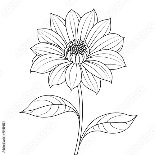 Adult coloring pages with hand-drawn floral designs
