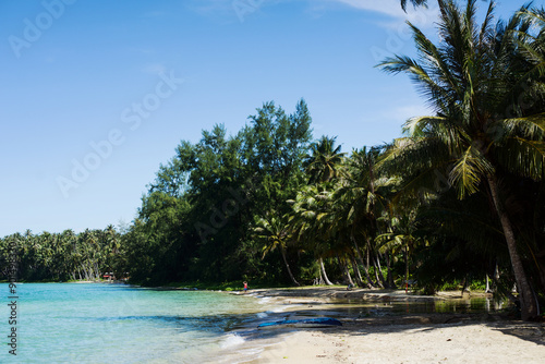 Fototapeta Naklejka Na Ścianę i Meble -  the tropical landscape of the island with white sand and palm trees. Quiet and peaceful rest, a secluded romantic place