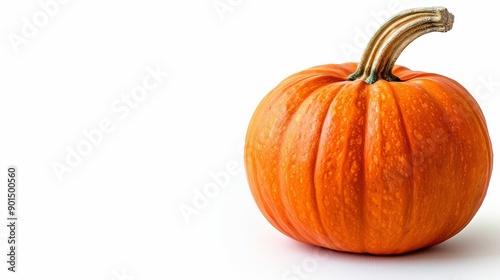 pumpkin on a white solid background with top view and empty space for your text