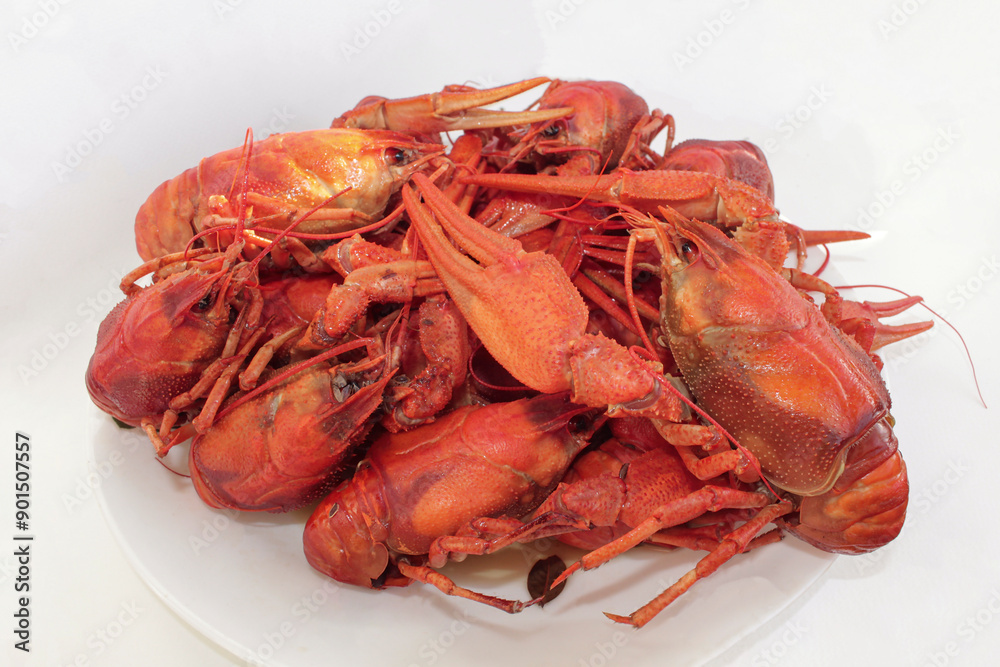 plate of deliciously looking boiled crawfish on a white plate plate of deliciously looking boiled crawfish on a white plate