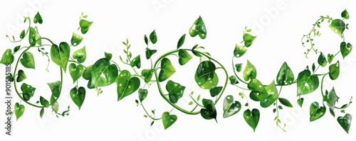 Plants with green climbing ivy creeper branches isolated on a white background. Hedera vine frames and borders, botanical design elements.