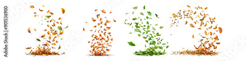 Whirlwind lifting leaves hyper realistic highly detailed isolated on transparent background
