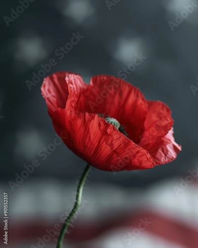 Red Poppy on Waving United States Flag for Memorial Day


