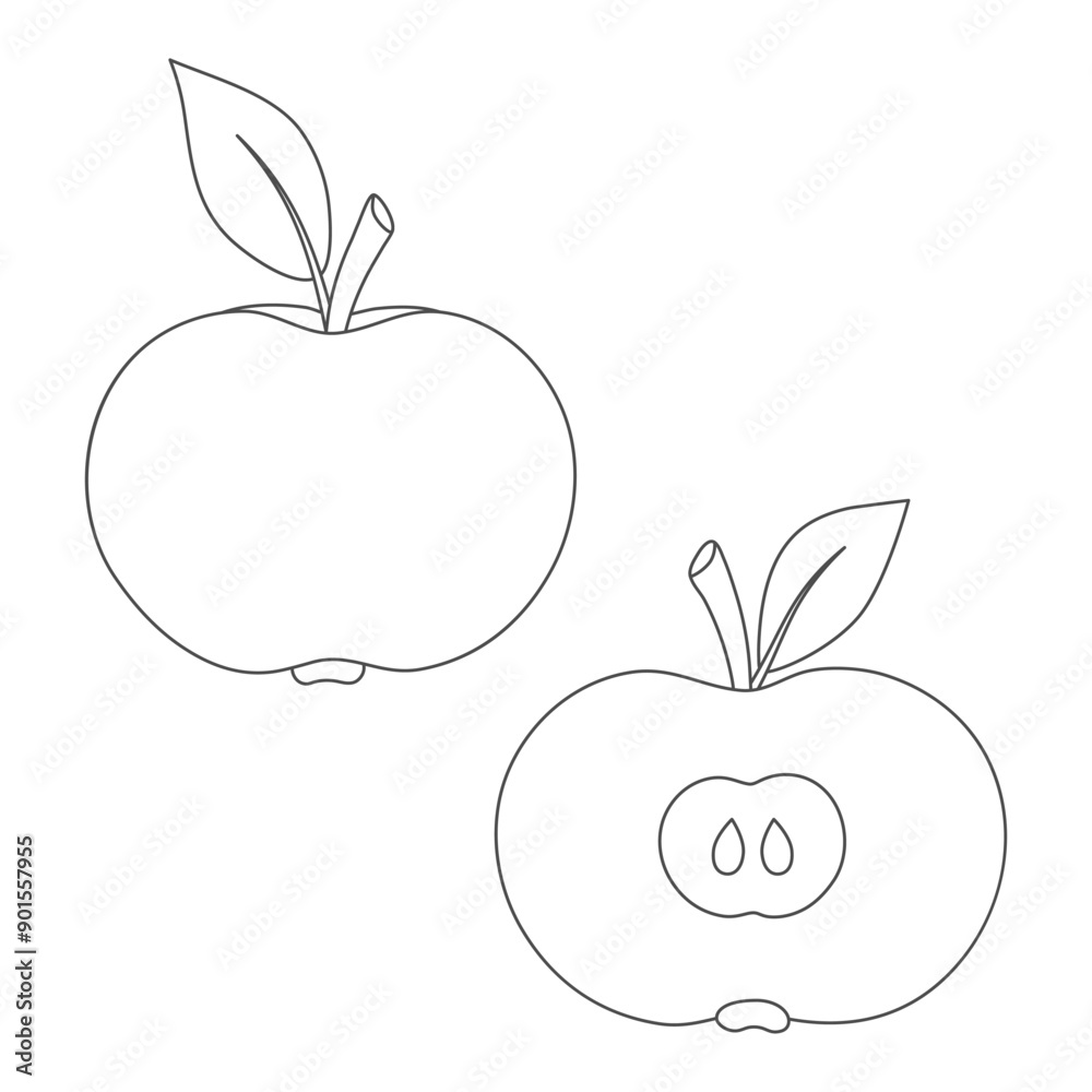 Apples. Whole apple and half apple. Coloring page. Black and white card