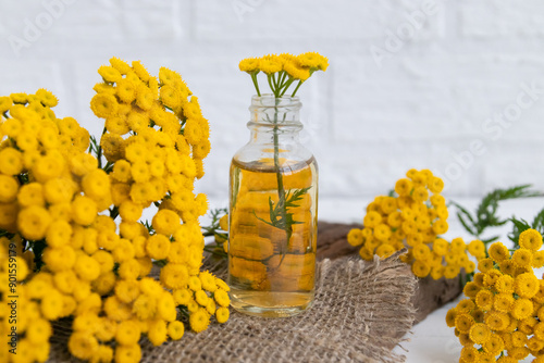 tincture of tansy flowers (Tanacetum vulgare) in a glass bottle. Traditional medicine, collection of useful herbs. Alternative medicine