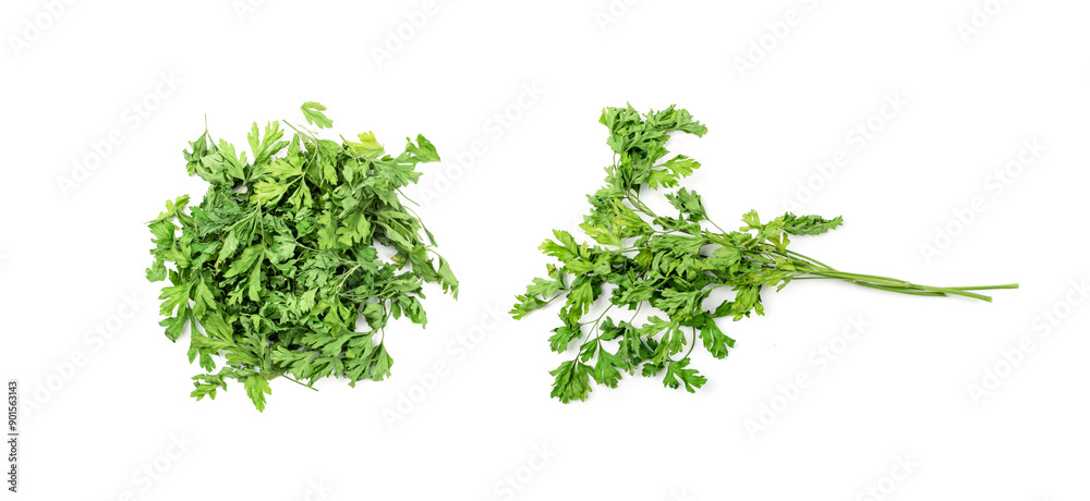 Dry parsley pile isolated. Crushed cilantro leaves heap, dried garden parsley, chervil flakes, corriender pileces