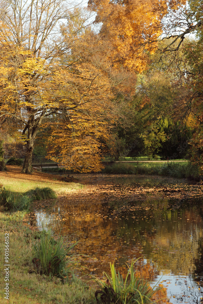 Bright autumn landscape with trees with yellow leaves reflected in the water of the small river Bright autumn landscape with trees with yellow leaves reflected in the water of the small river