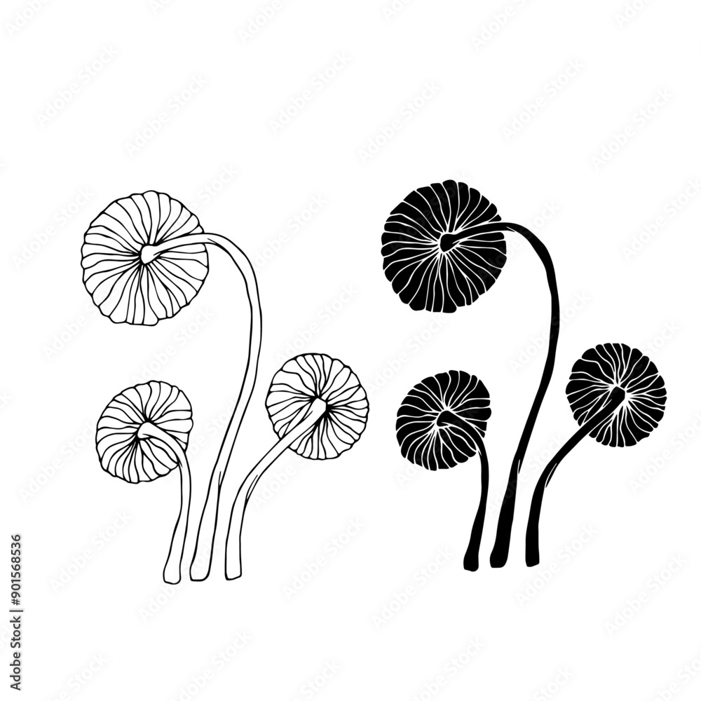 Line sketch, silhouette stamp of forest mushrooms toadstools. Vector graphics. Line sketch, silhouette stamp of forest mushrooms toadstools. Vector graphics.