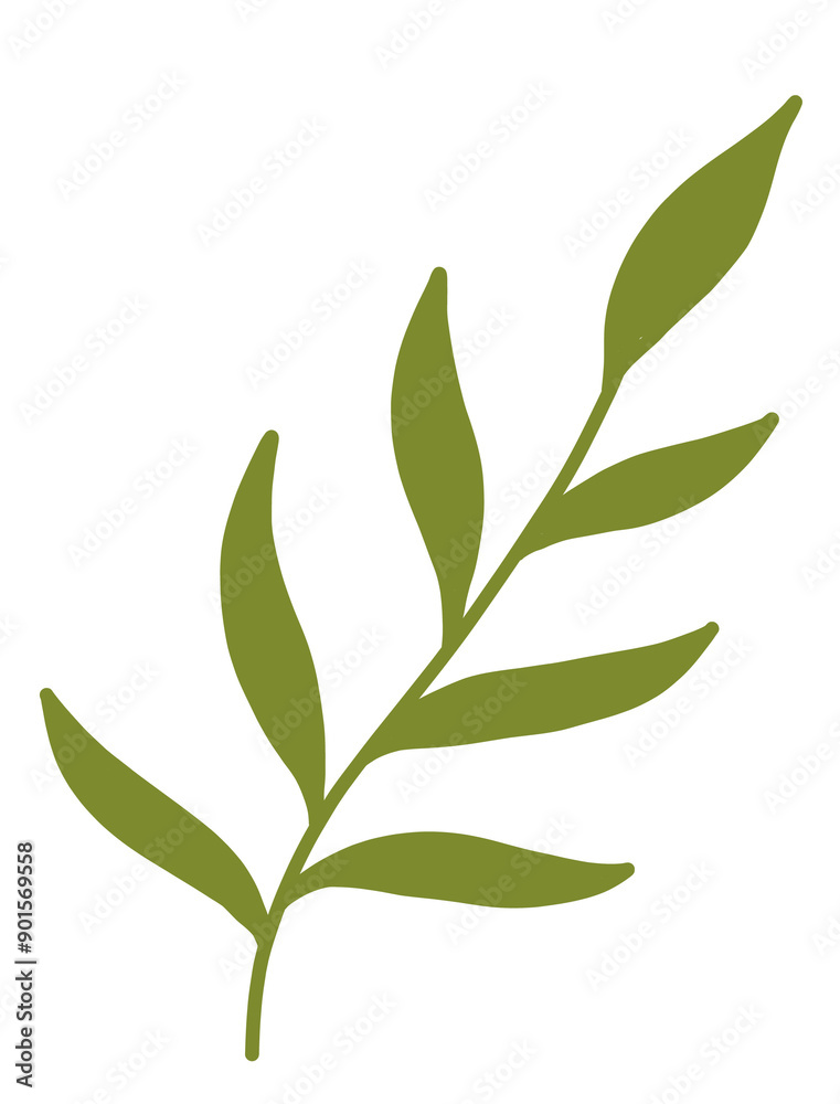 Fototapeta premium green leaves isolated on white background