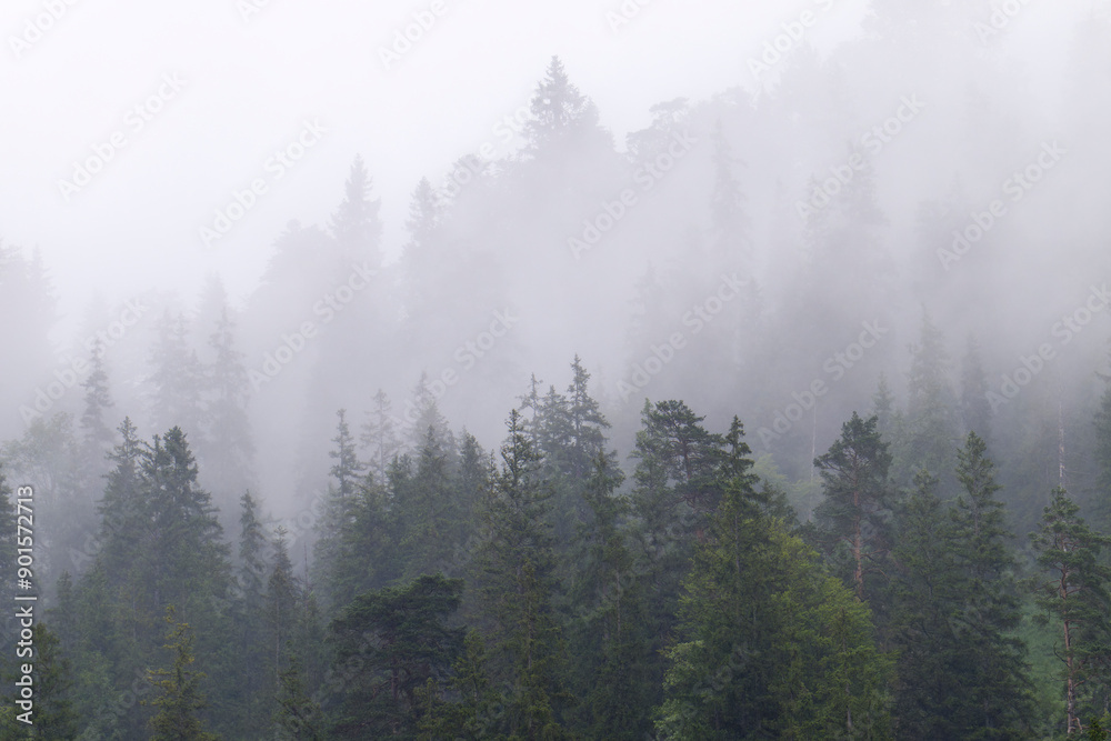 Nebel im Gebirge in Österreich Nebel im Gebirge in Österreich