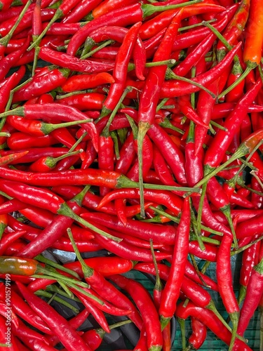 Red chilli texture background,Food nature background concept, Banner cover concept background.