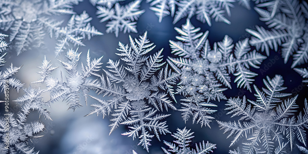 Snow frost in the form of natural patterns on the window glass against the background of the morning sky. White snowflakes in frost on the window glass in blue tones. Snow frost in the form of natural patterns on the window glass against the background of the morning sky. White snowflakes in frost on the window glass in blue tones.