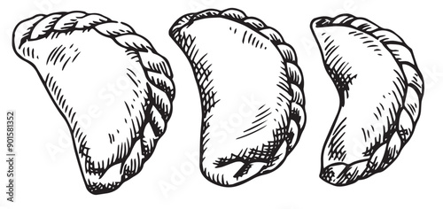 set of dumplings, illustration in sketch style. frozen convenience food