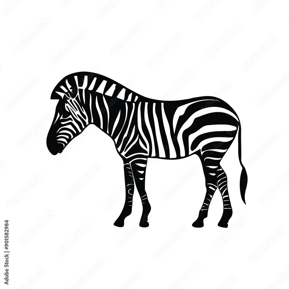 Fototapeta premium zebra vector illustration
