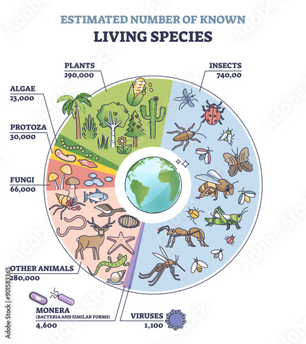 Classification of plant kingdom with estimated species count outline diagram, transparent background. Labeled educational living wildlife quantity from each family illustration.