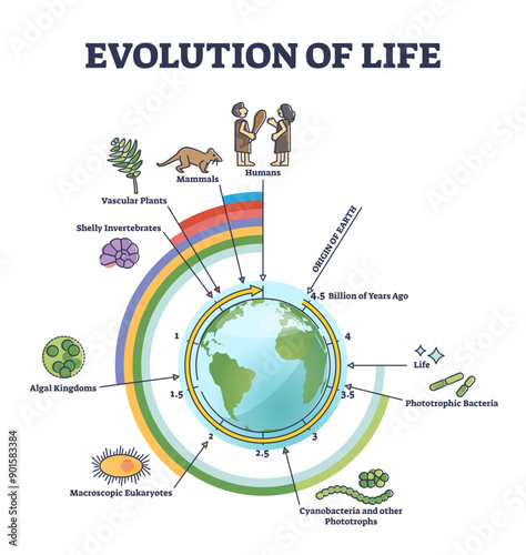 Evolution of life with round timeline for living creatures development outline diagram, transparent background. Origin of earth and further years process with bacteria, algae.