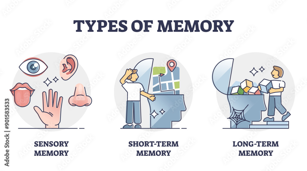 Types of memory - sensory, short-term and long-term, outline diagram ...