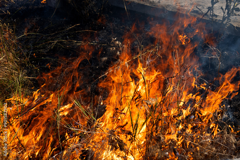 Forest and steppe fires dry completely destroy the fields and steppes during a severe drought. Disaster brings regular damage to nature and economy of region. Lights field with the harvest of wheat Forest and steppe fires dry completely destroy the fields and steppes during a severe drought. Disaster brings regular damage to nature and economy of region. Lights field with the harvest of wheat