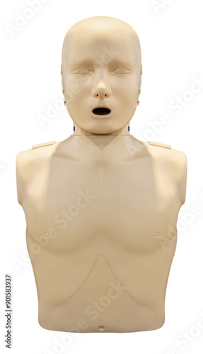 Half body medical CPR photo