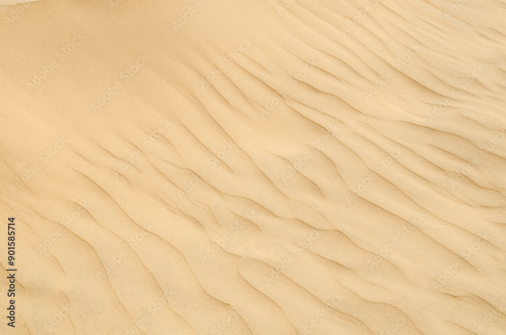 Sam Sand dunes in Thar Desert, grainy sand, Texture, Pattern, Background, Jaisalmer, Rajasthan, India, Asia. Sam Sand dunes in Thar Desert, grainy sand, Texture, Pattern, Background, Jaisalmer, Rajasthan, India, Asia.